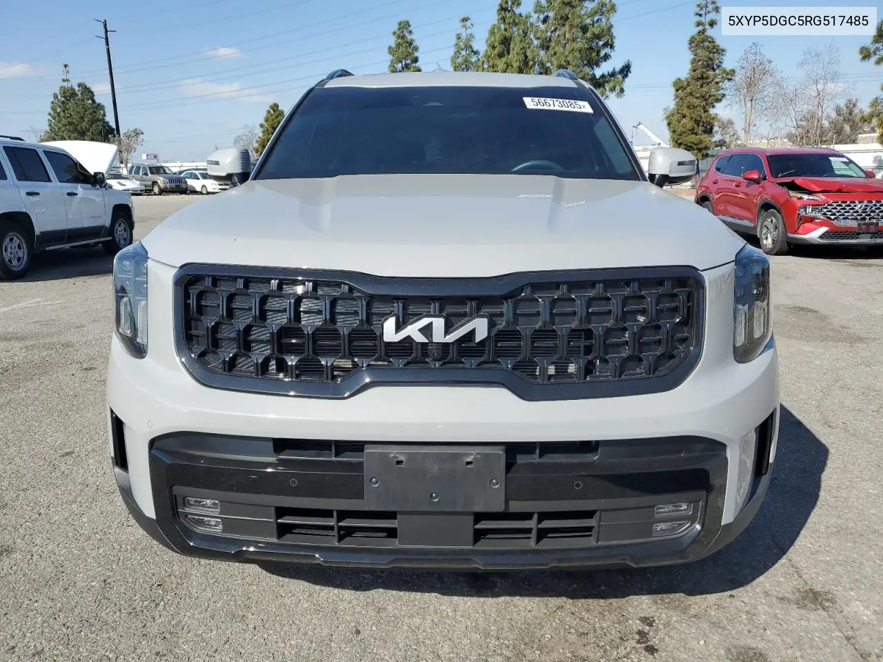 2024 Kia Telluride Sx VIN: 5XYP5DGC5RG517485 Lot: 56673085