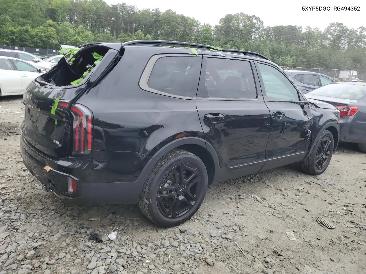 2024 Kia Telluride Sx VIN: 5XYP5DGC1RG494352 Lot: 58260515