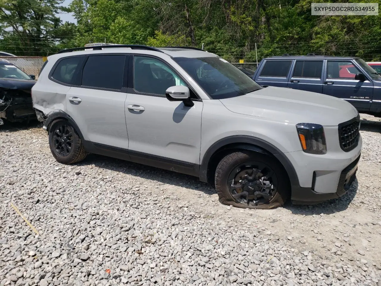 2024 Kia Telluride Sx VIN: 5XYP5DGC2RG534955 Lot: 59326615