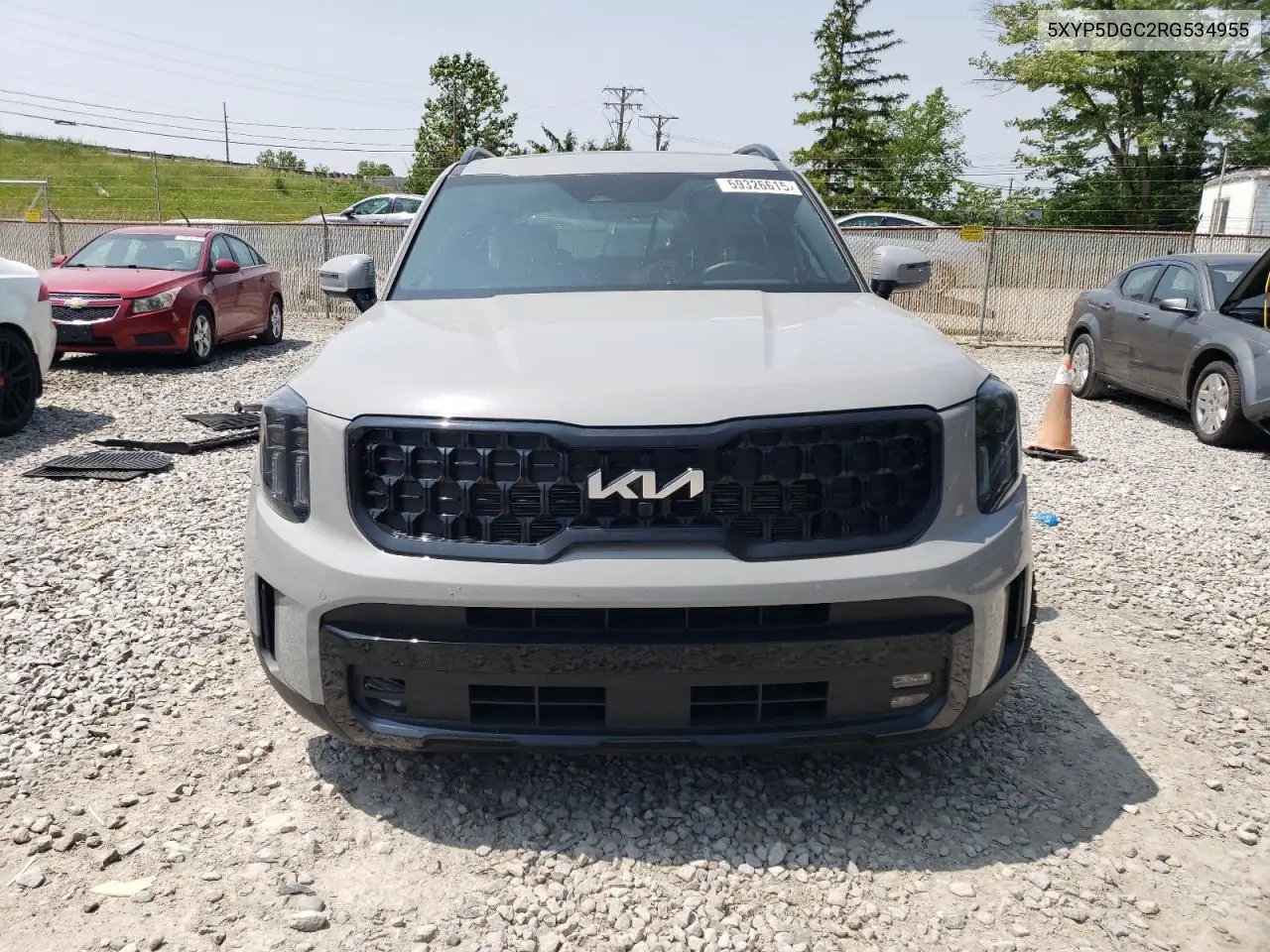 2024 Kia Telluride Sx VIN: 5XYP5DGC2RG534955 Lot: 59326615