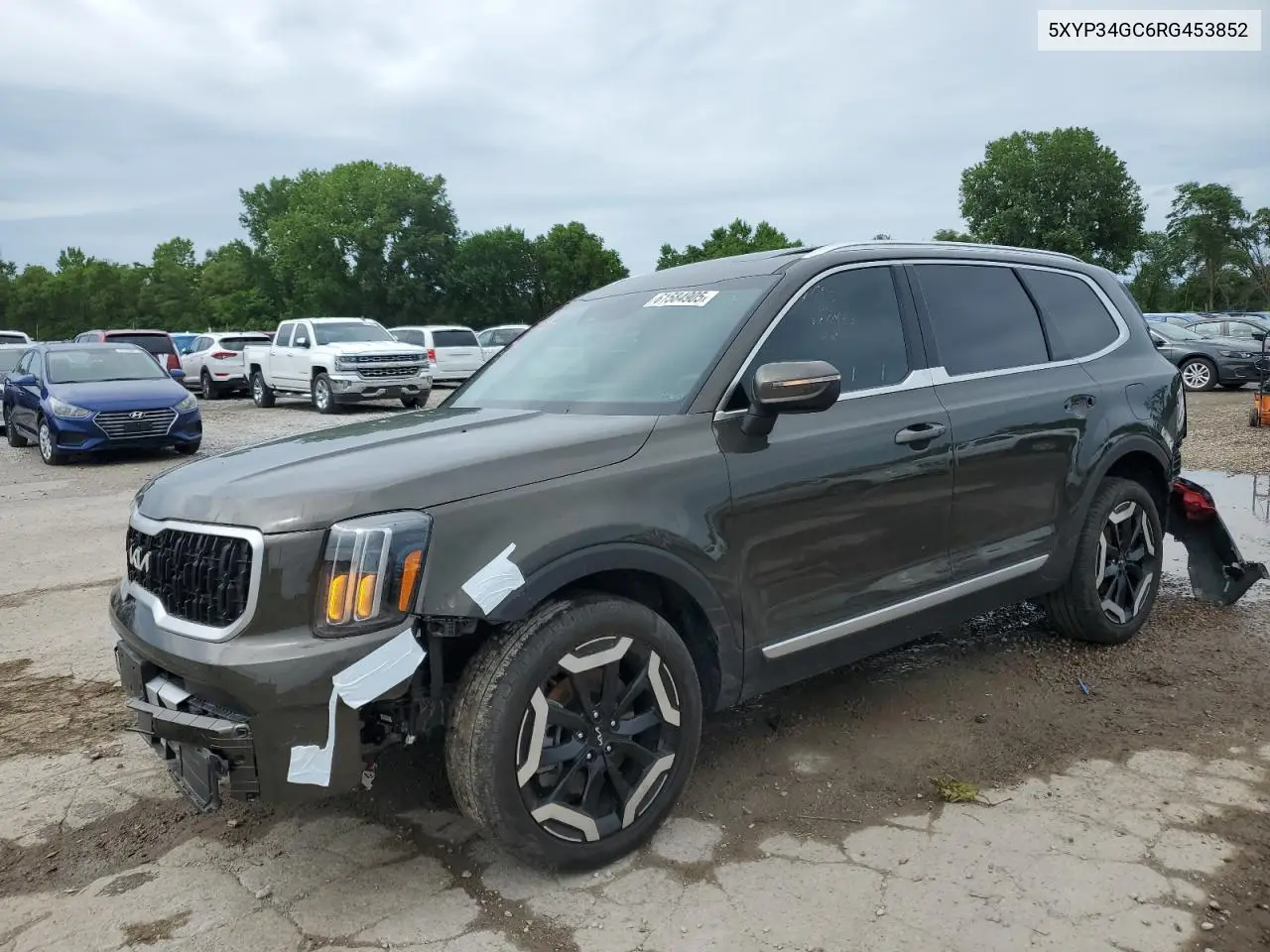 2024 Kia Telluride Ex VIN: 5XYP34GC6RG453852 Lot: 61584905