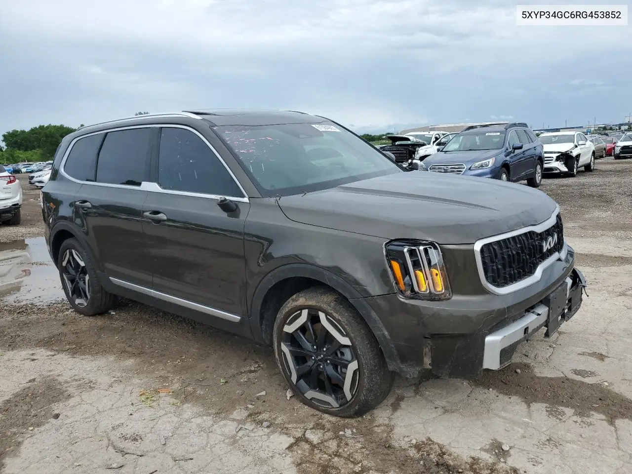 2024 Kia Telluride Ex VIN: 5XYP34GC6RG453852 Lot: 61584905
