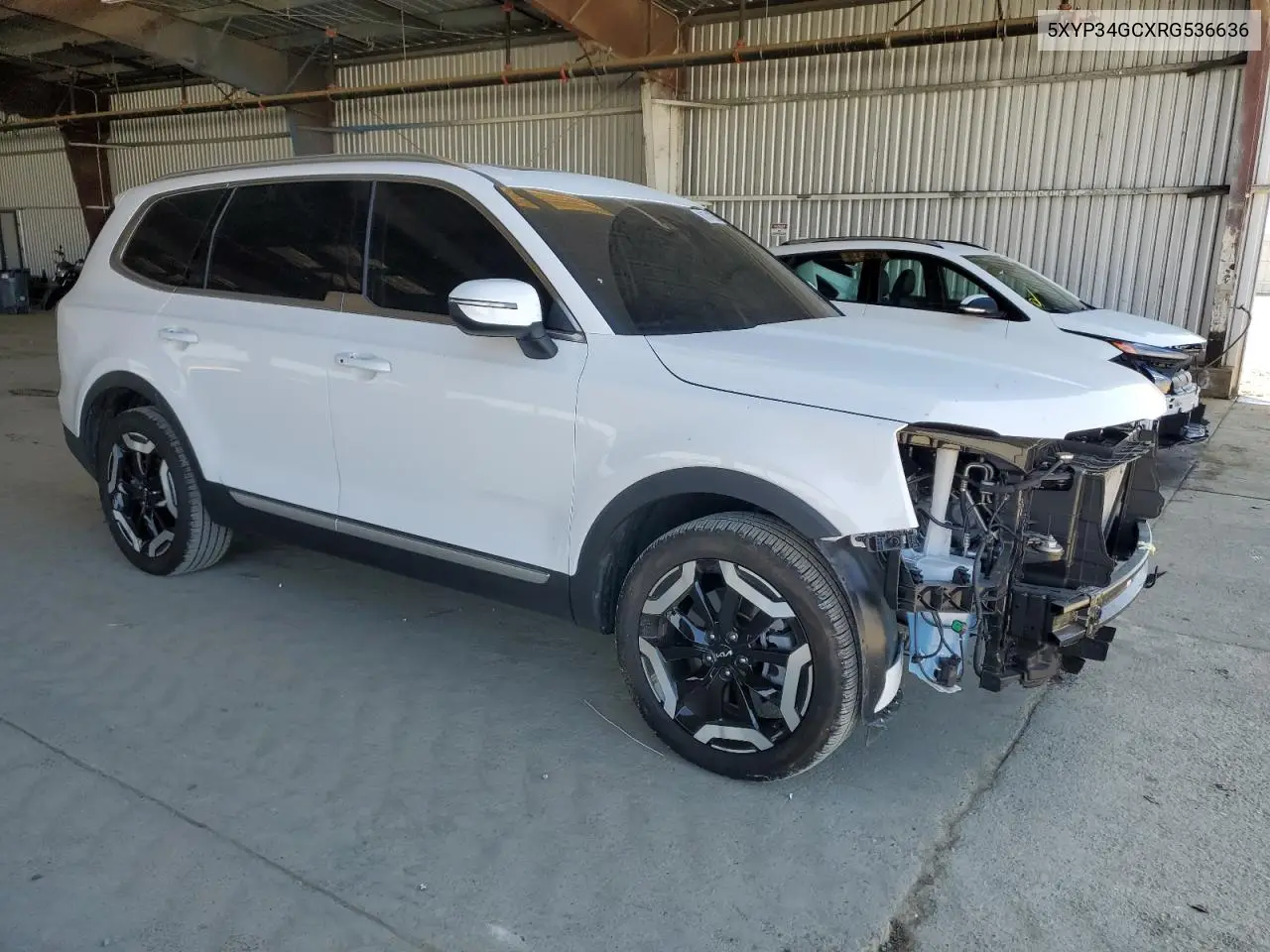 2024 Kia Telluride Ex VIN: 5XYP34GCXRG536636 Lot: 61871265