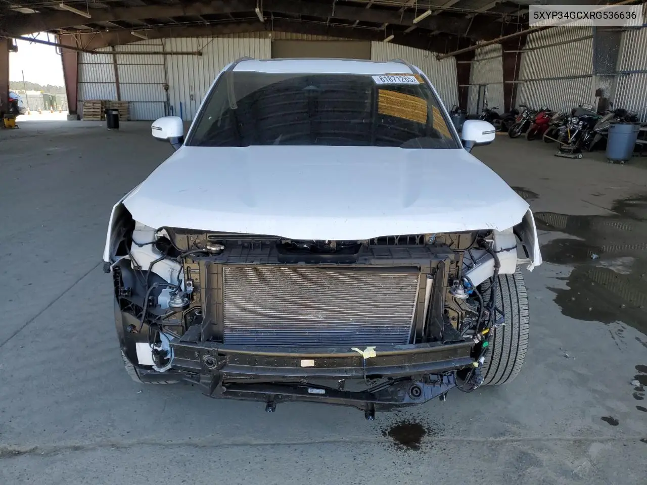 2024 Kia Telluride Ex VIN: 5XYP34GCXRG536636 Lot: 61871265