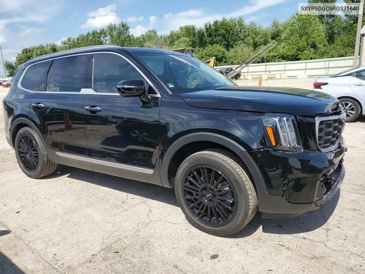 2024 Kia Telluride Sx VIN: 5XYP5DGC6RG531640 Lot: 61953805