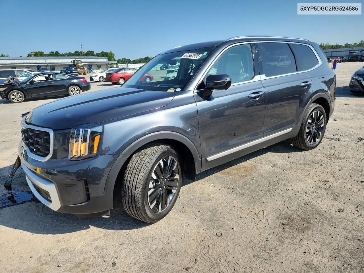 2024 Kia Telluride Sx VIN: 5XYP5DGC2RG524586 Lot: 61963595