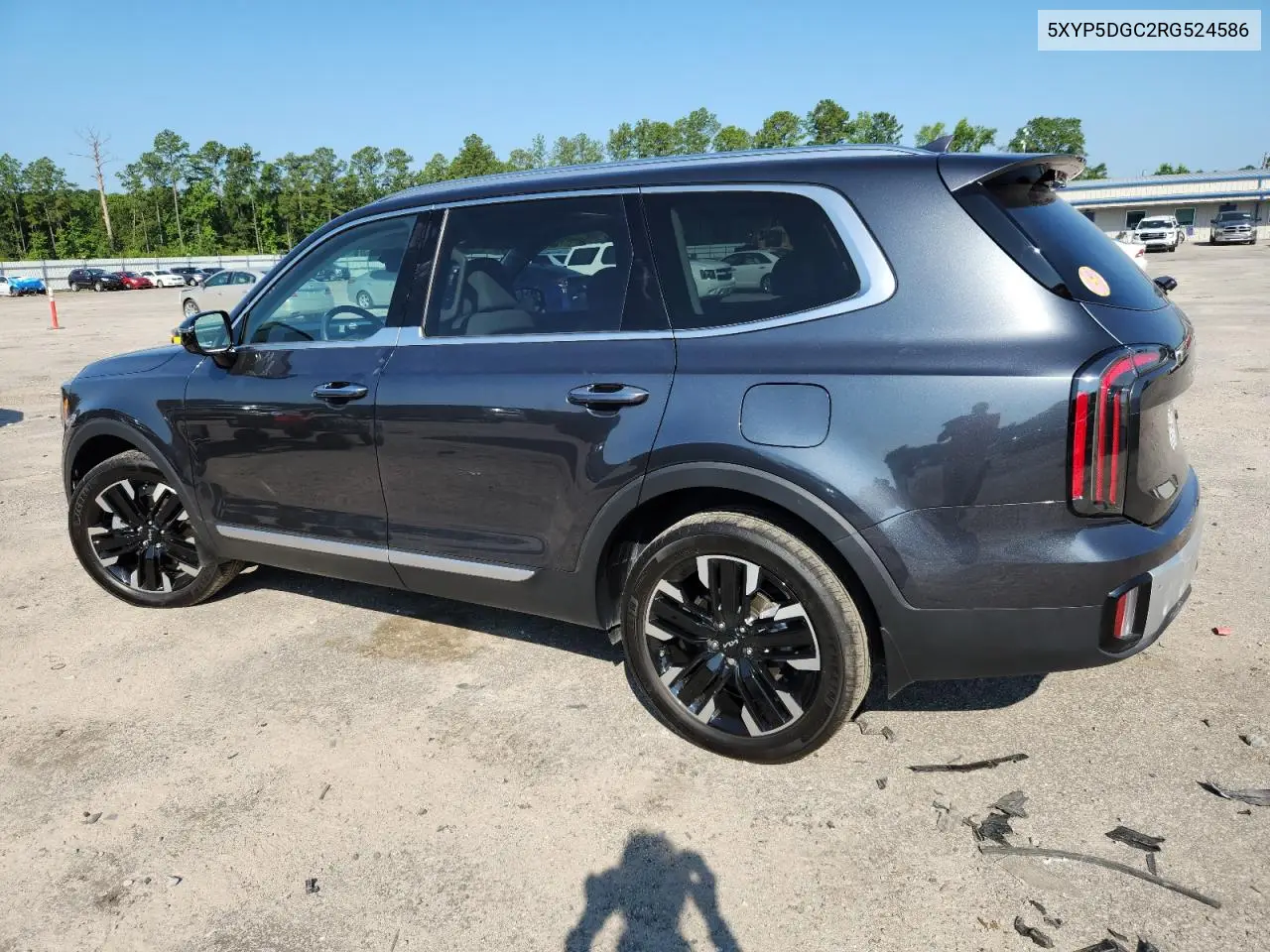 2024 Kia Telluride Sx VIN: 5XYP5DGC2RG524586 Lot: 61963595