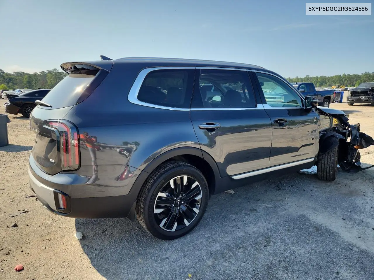 2024 Kia Telluride Sx VIN: 5XYP5DGC2RG524586 Lot: 61963595