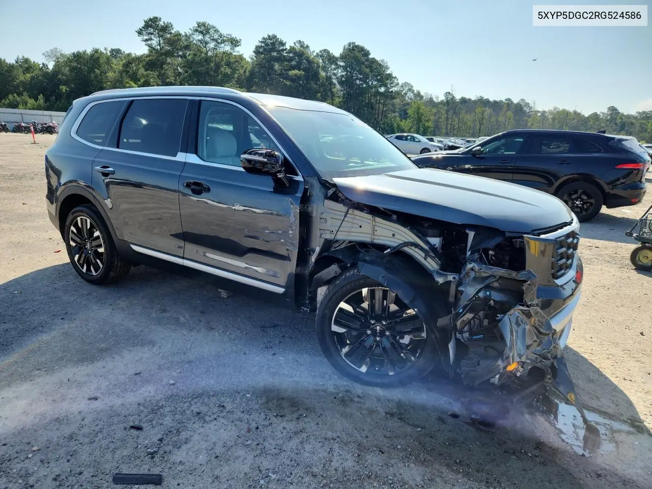 2024 Kia Telluride Sx VIN: 5XYP5DGC2RG524586 Lot: 61963595