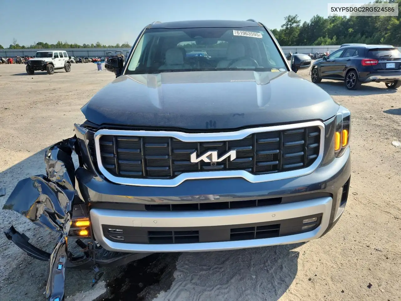 2024 Kia Telluride Sx VIN: 5XYP5DGC2RG524586 Lot: 61963595
