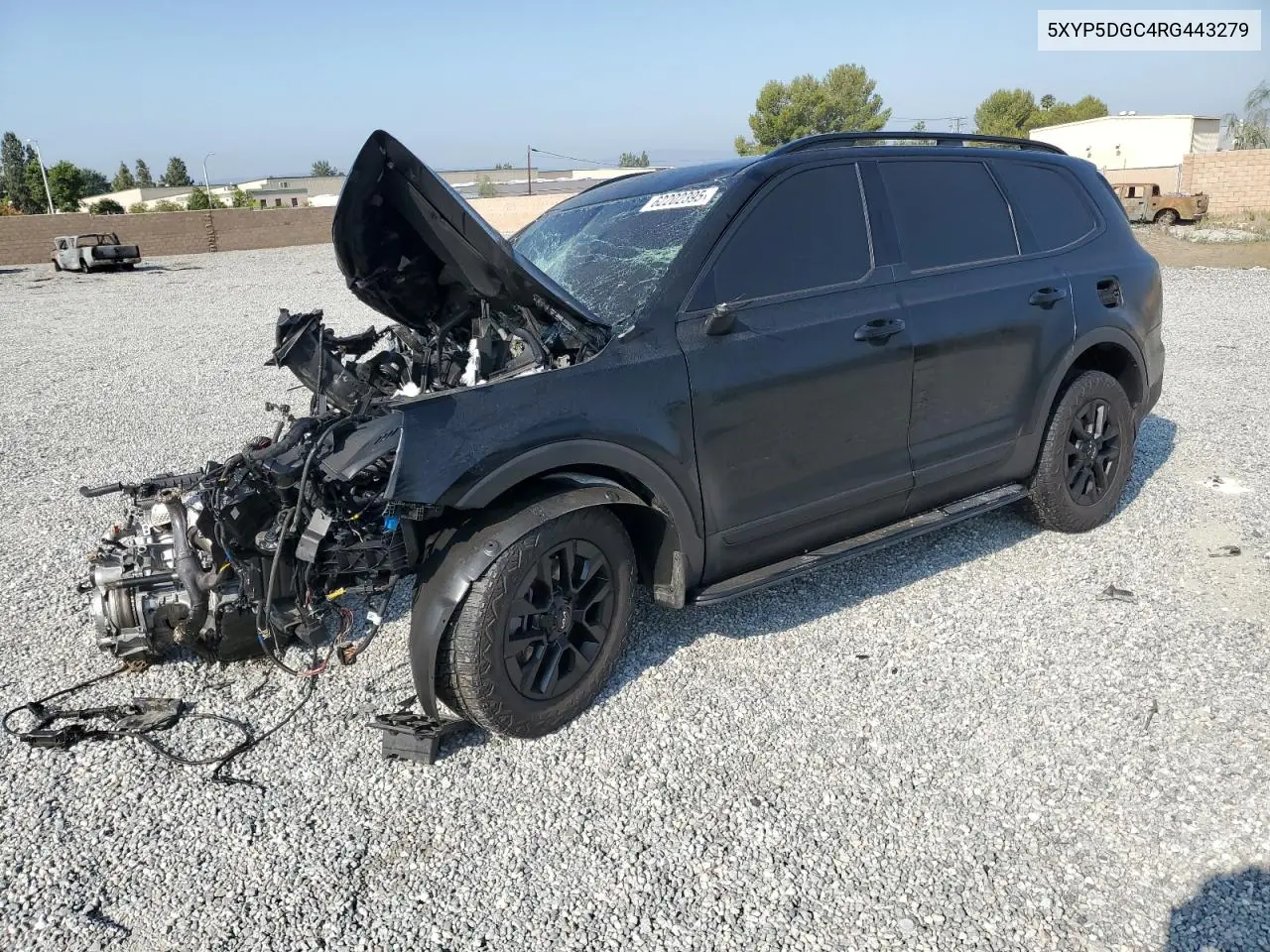 2024 Kia Telluride Sx VIN: 5XYP5DGC4RG443279 Lot: 62202395