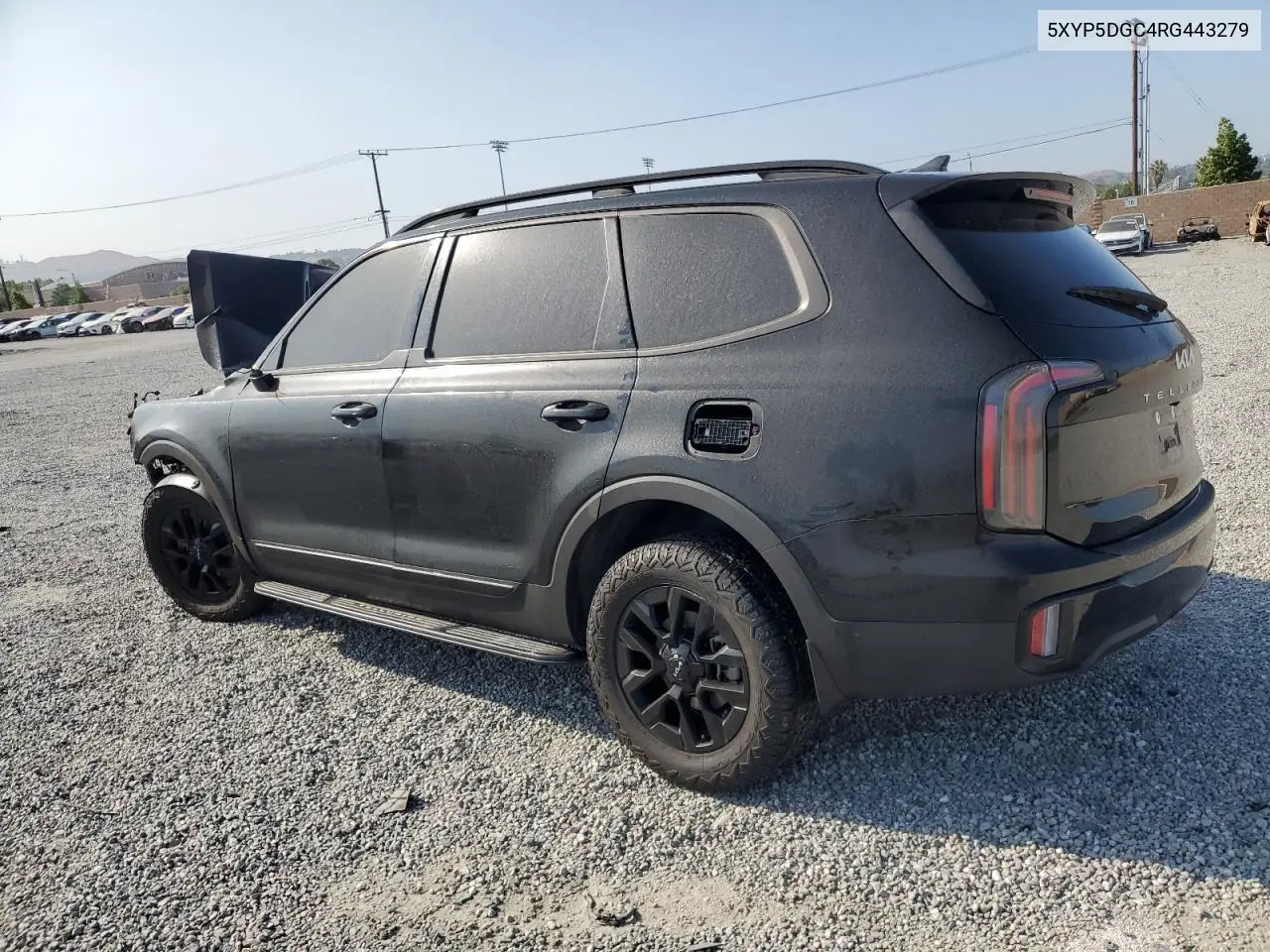 2024 Kia Telluride Sx VIN: 5XYP5DGC4RG443279 Lot: 62202395