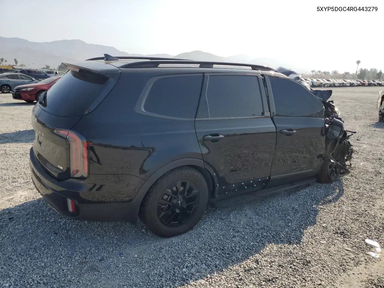 2024 Kia Telluride Sx VIN: 5XYP5DGC4RG443279 Lot: 62202395