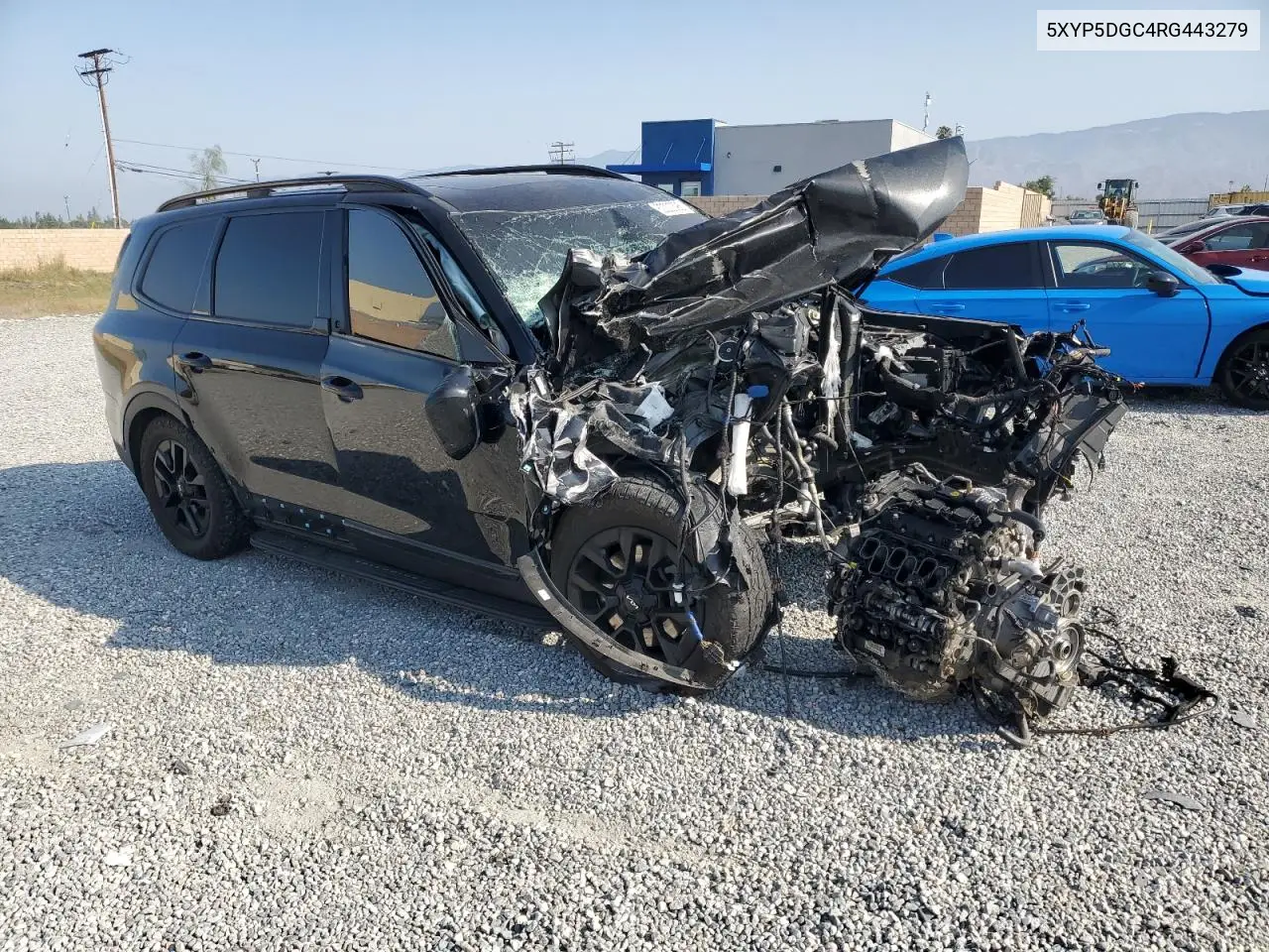 2024 Kia Telluride Sx VIN: 5XYP5DGC4RG443279 Lot: 62202395