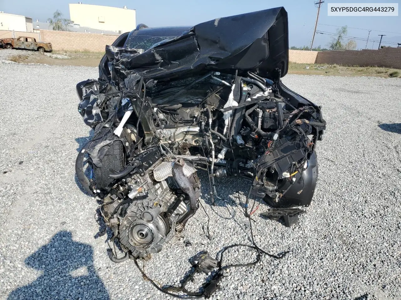 2024 Kia Telluride Sx VIN: 5XYP5DGC4RG443279 Lot: 62202395