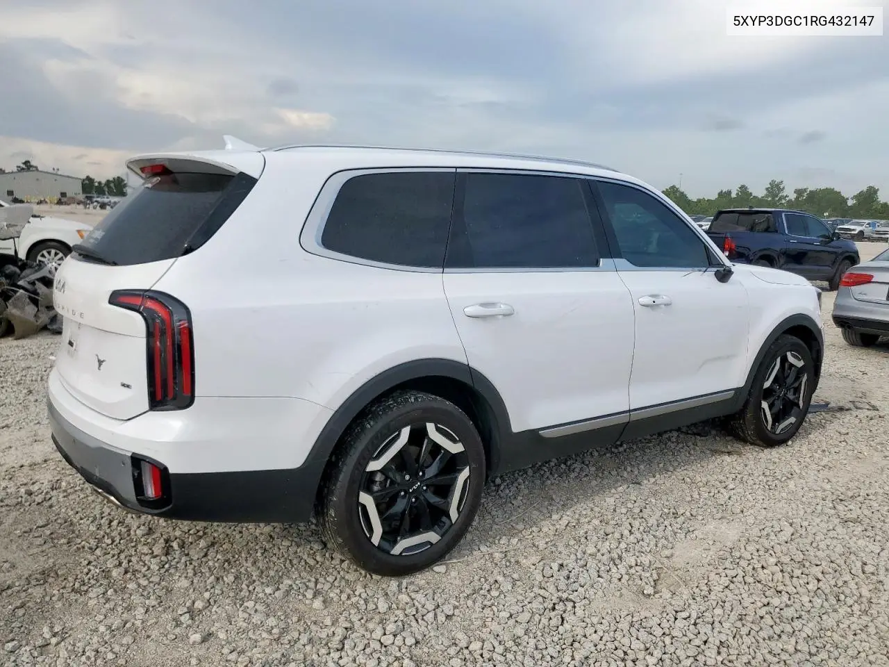 2024 Kia Telluride Ex VIN: 5XYP3DGC1RG432147 Lot: 62295145