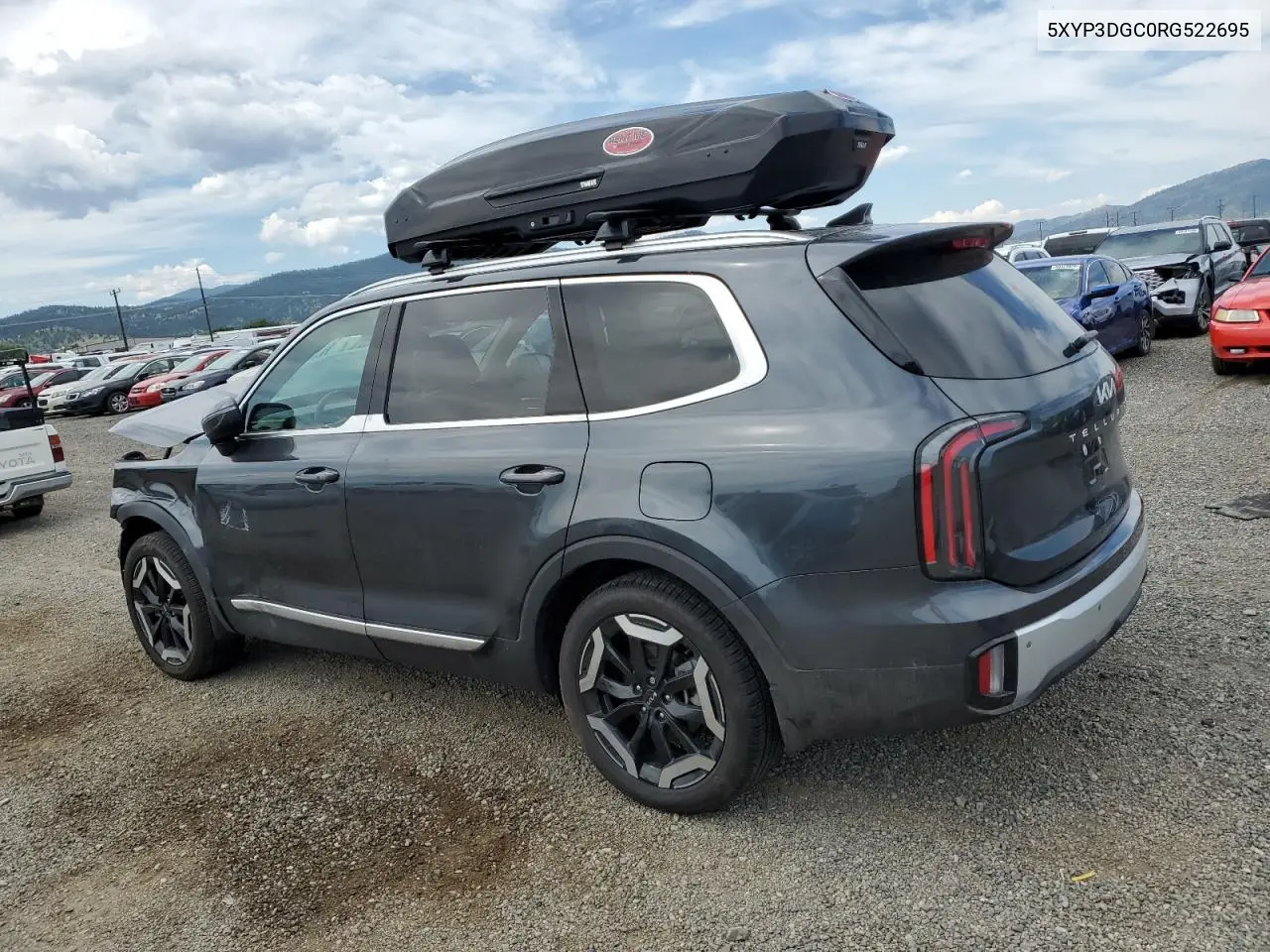 2024 Kia Telluride Ex VIN: 5XYP3DGC0RG522695 Lot: 62392895