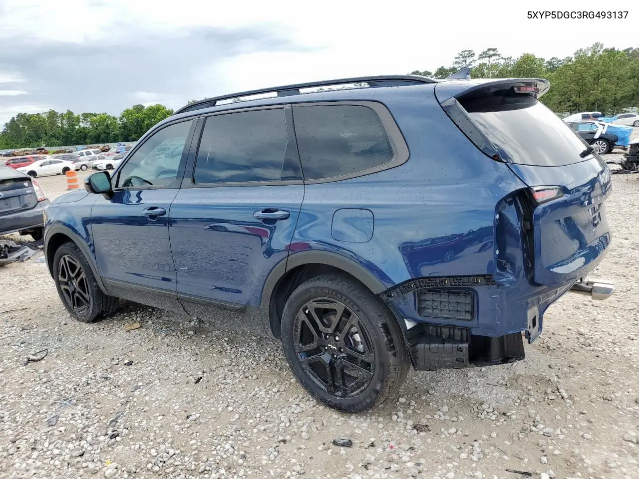 2024 Kia Telluride Sx VIN: 5XYP5DGC3RG493137 Lot: 62479505
