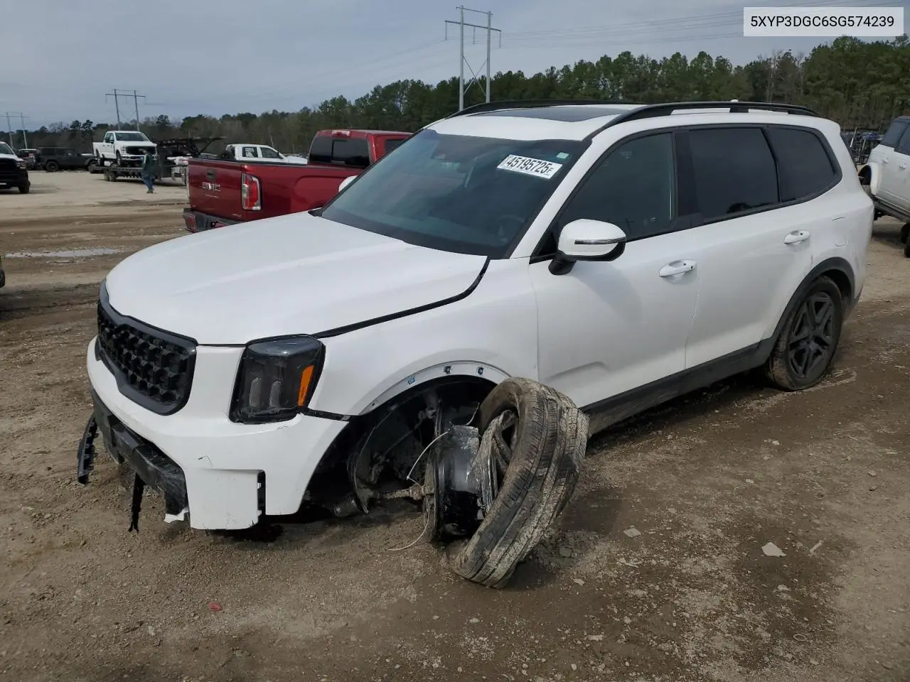 2025 Kia Telluride Ex VIN: 5XYP3DGC6SG574239 Lot: 45195725