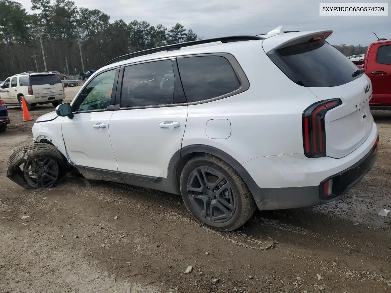 2025 Kia Telluride Ex VIN: 5XYP3DGC6SG574239 Lot: 45195725
