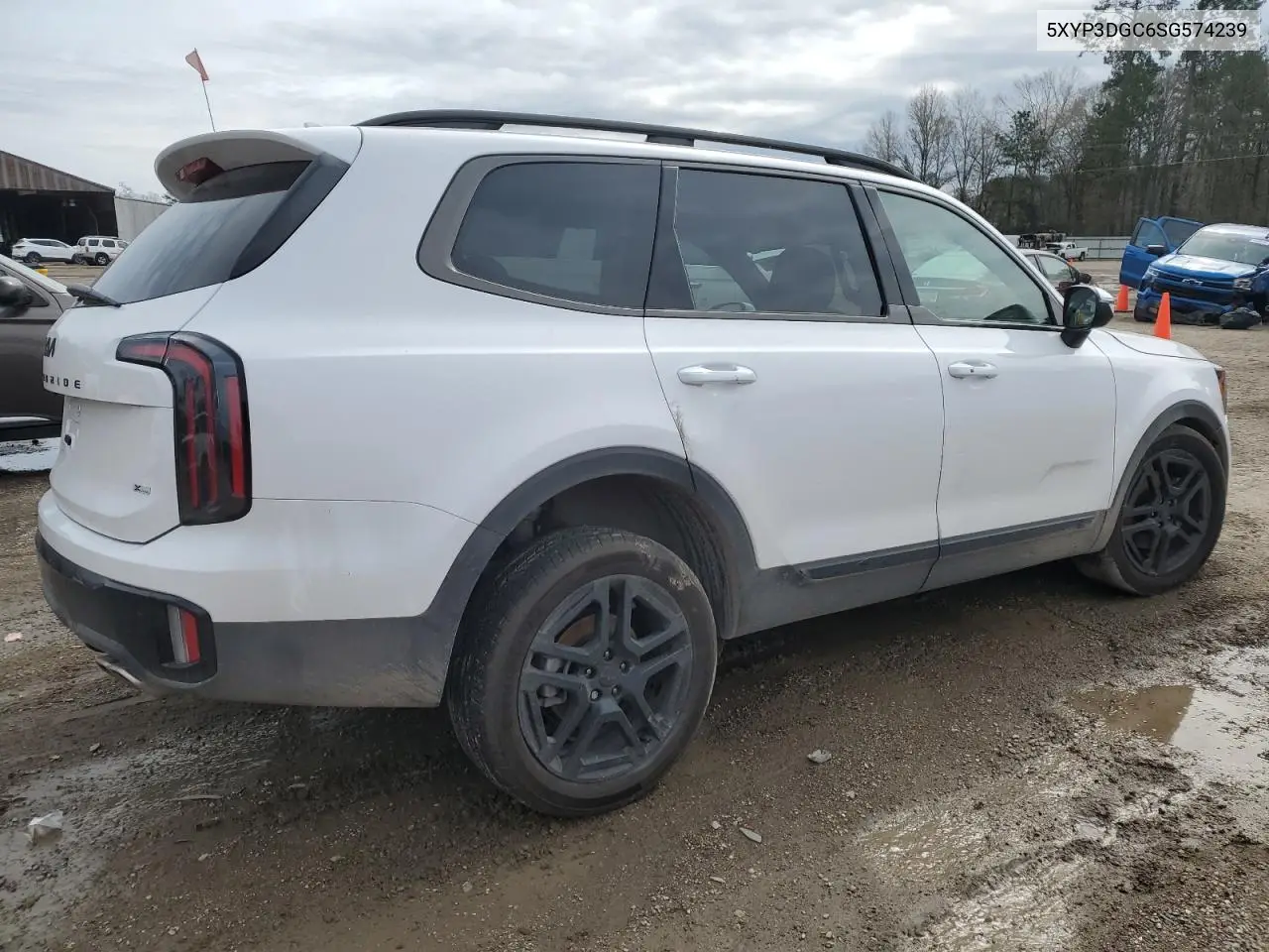 2025 Kia Telluride Ex VIN: 5XYP3DGC6SG574239 Lot: 45195725