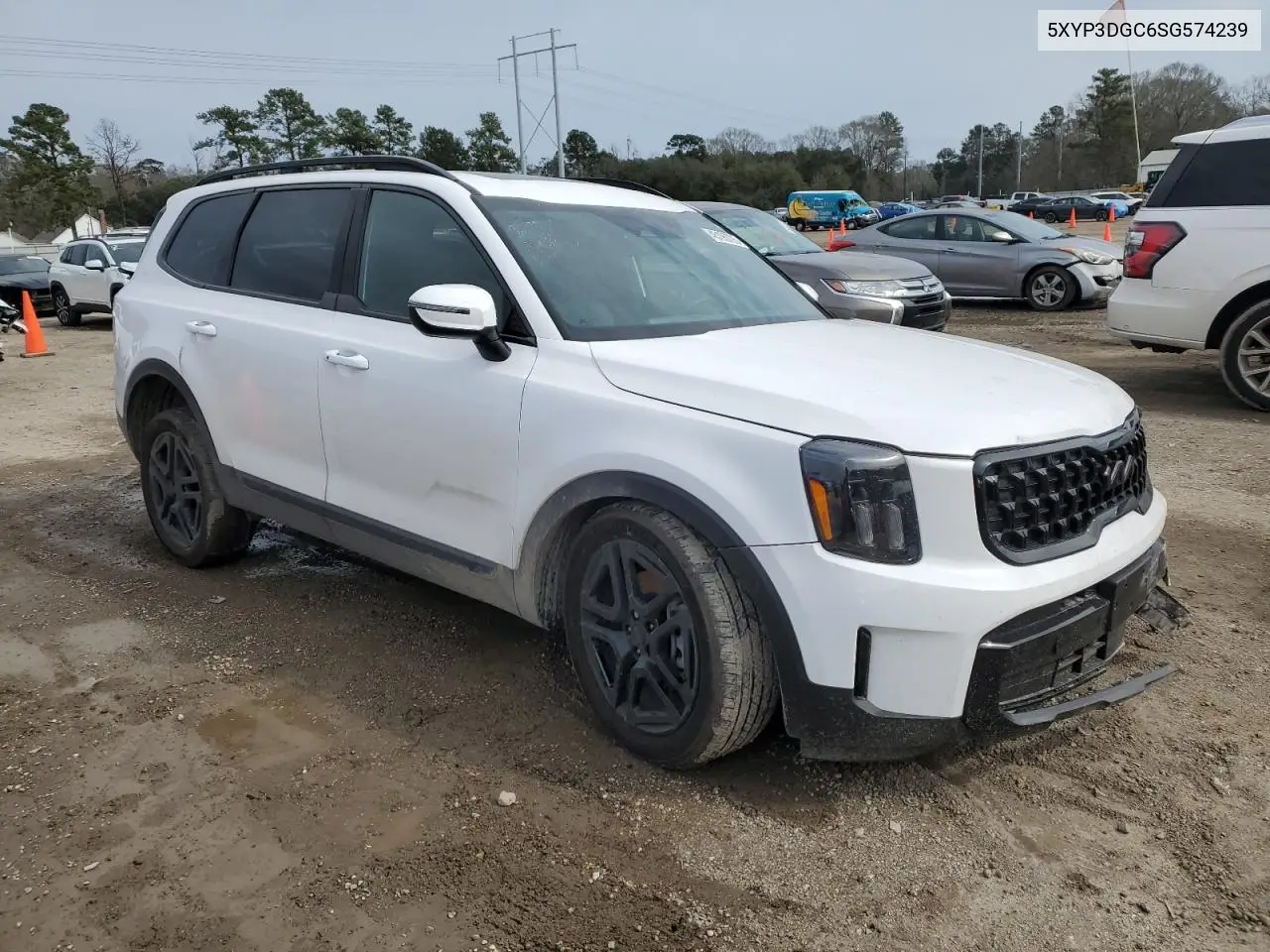 2025 Kia Telluride Ex VIN: 5XYP3DGC6SG574239 Lot: 45195725