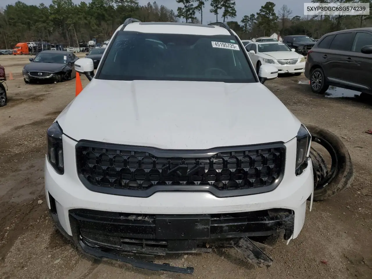 2025 Kia Telluride Ex VIN: 5XYP3DGC6SG574239 Lot: 45195725