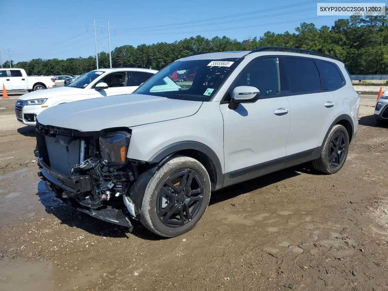 2025 Kia Telluride Ex VIN: 5XYP3DGC2SG612002 Lot: 55855605
