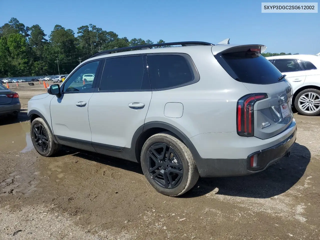 2025 Kia Telluride Ex VIN: 5XYP3DGC2SG612002 Lot: 55855605