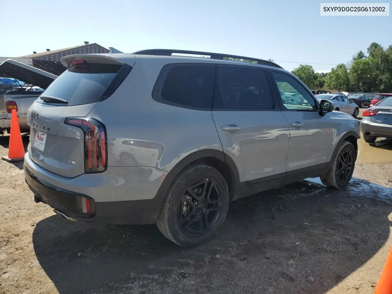 2025 Kia Telluride Ex VIN: 5XYP3DGC2SG612002 Lot: 55855605