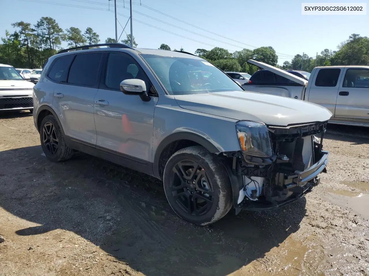 2025 Kia Telluride Ex VIN: 5XYP3DGC2SG612002 Lot: 55855605