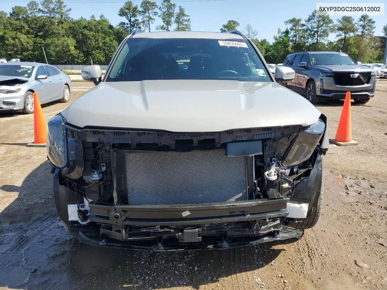 2025 Kia Telluride Ex VIN: 5XYP3DGC2SG612002 Lot: 55855605
