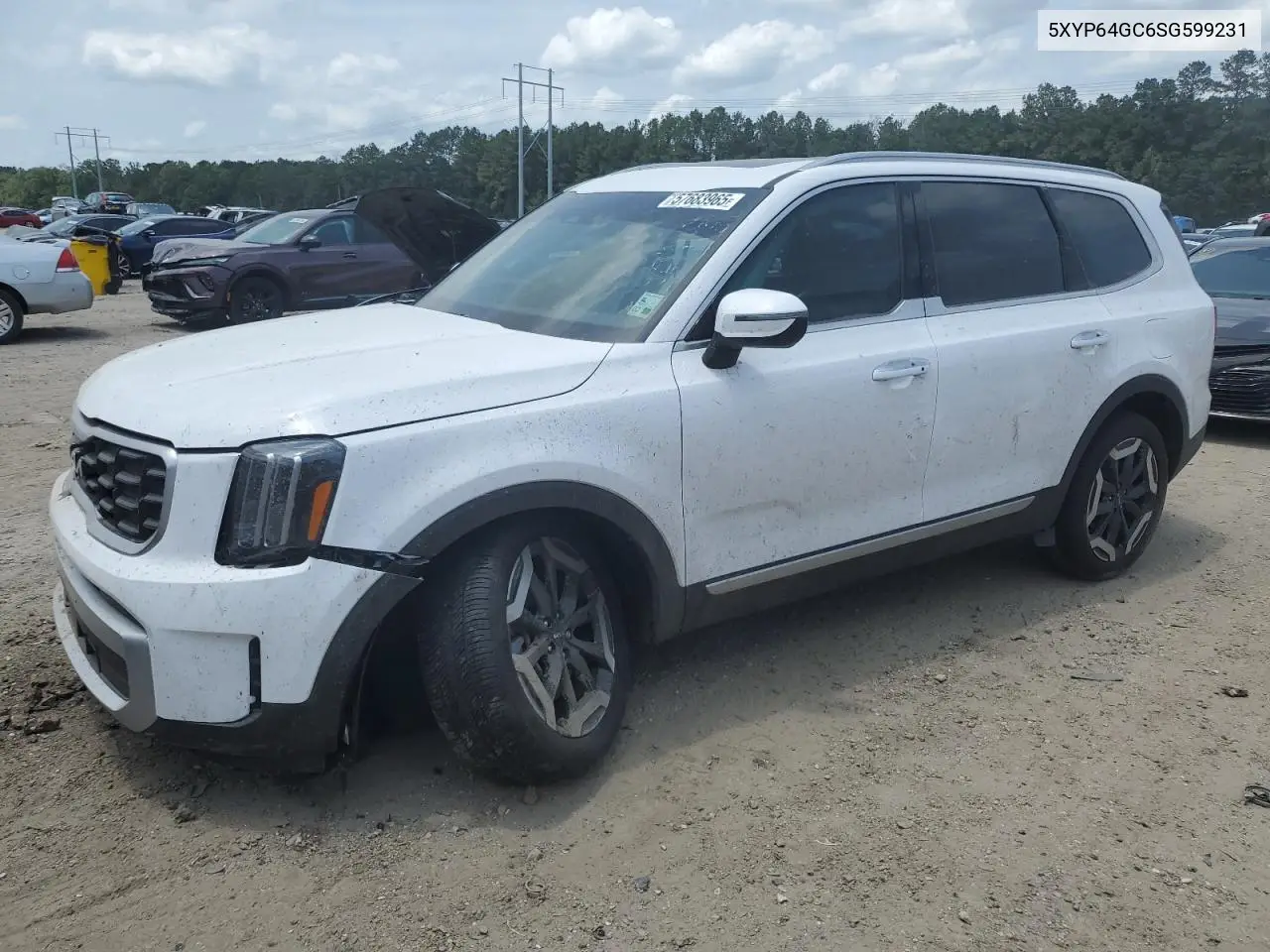 2025 Kia Telluride S VIN: 5XYP64GC6SG599231 Lot: 57683965