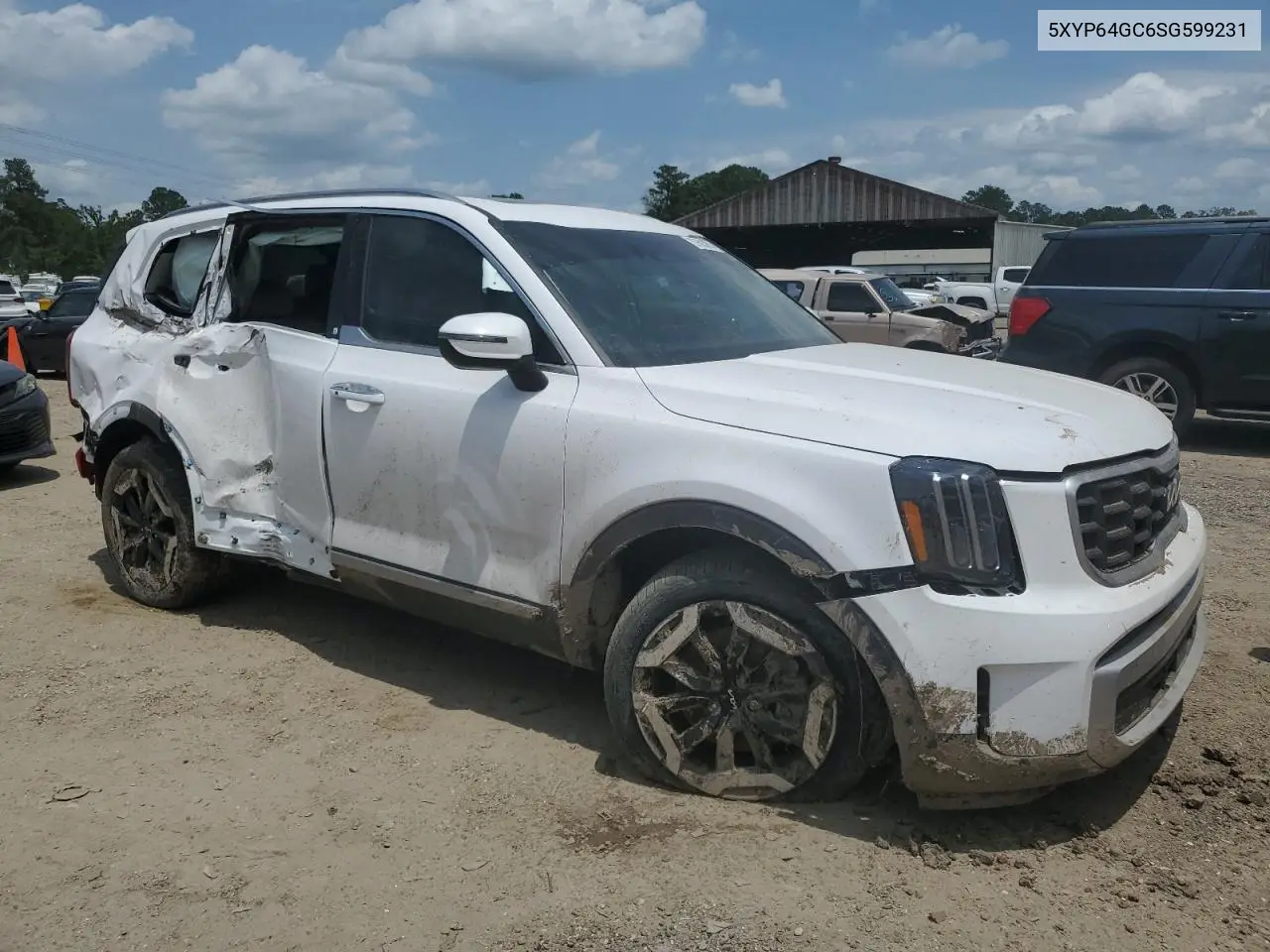 2025 Kia Telluride S VIN: 5XYP64GC6SG599231 Lot: 57683965