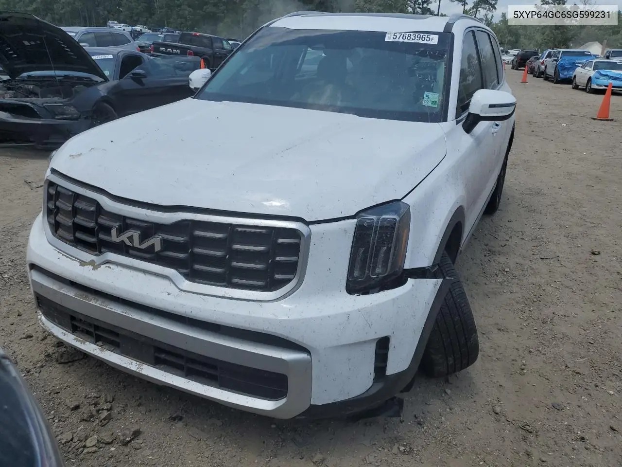 2025 Kia Telluride S VIN: 5XYP64GC6SG599231 Lot: 57683965