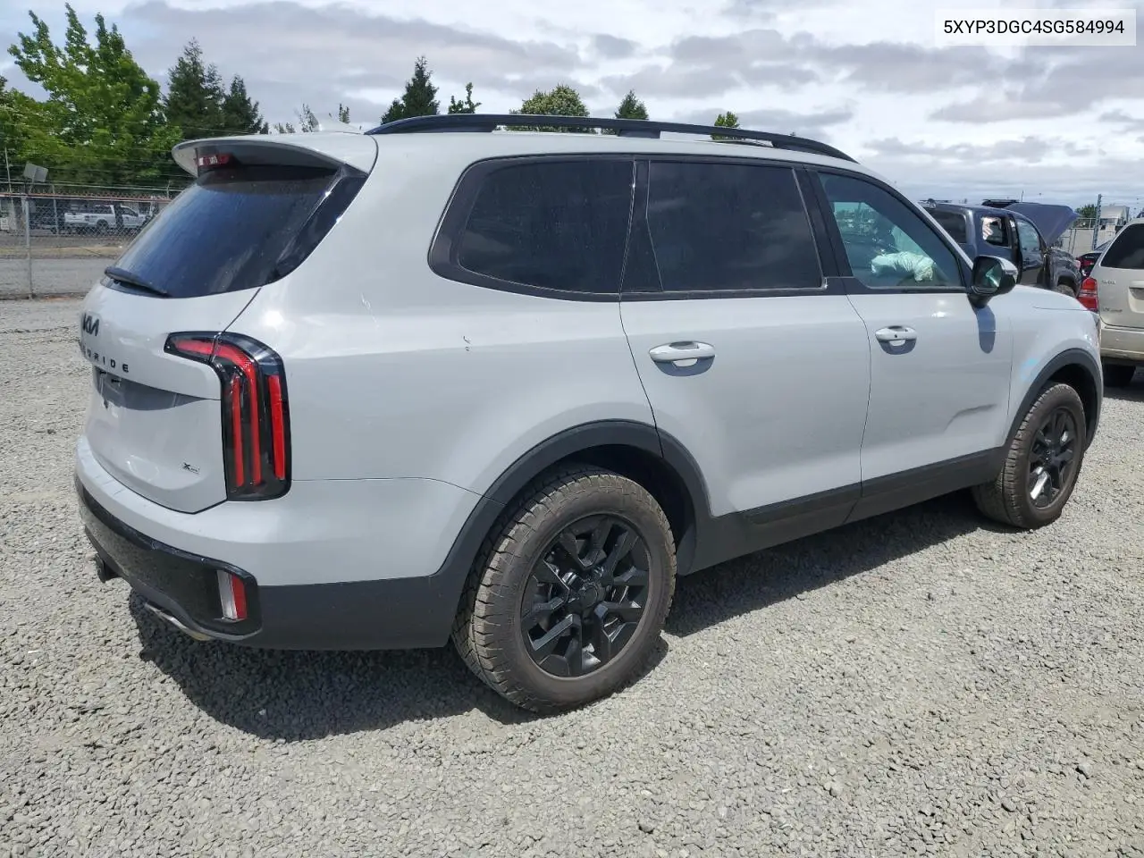 2025 Kia Telluride Ex VIN: 5XYP3DGC4SG584994 Lot: 61684665