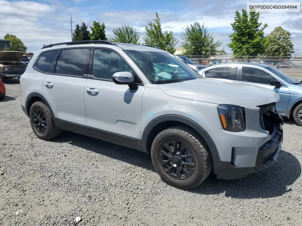 2025 Kia Telluride Ex VIN: 5XYP3DGC4SG584994 Lot: 61684665