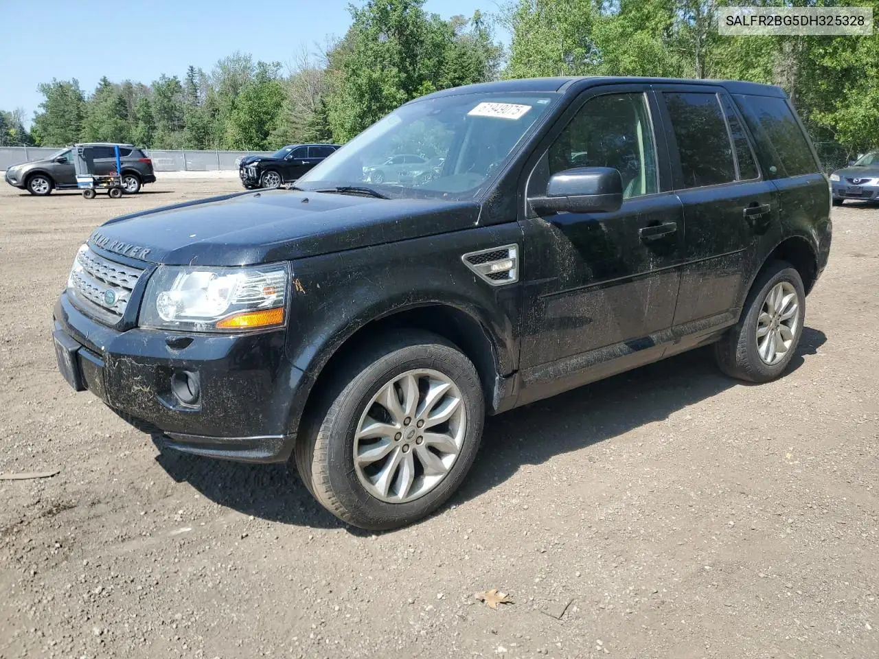 2013 Land Rover Lr2 Hse VIN: SALFR2BG5DH325328 Lot: 61949075