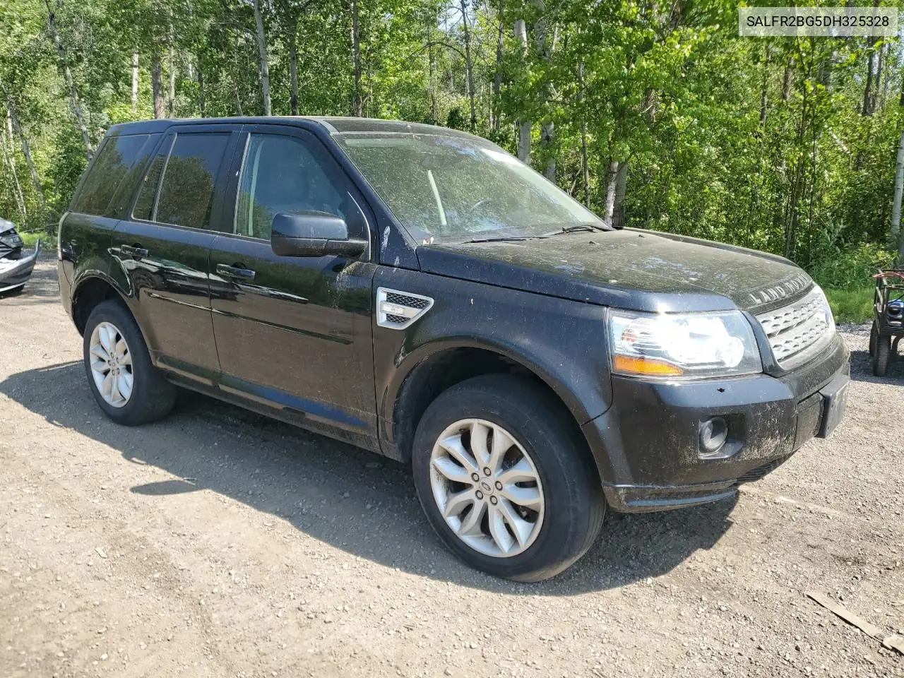 2013 Land Rover Lr2 Hse VIN: SALFR2BG5DH325328 Lot: 61949075