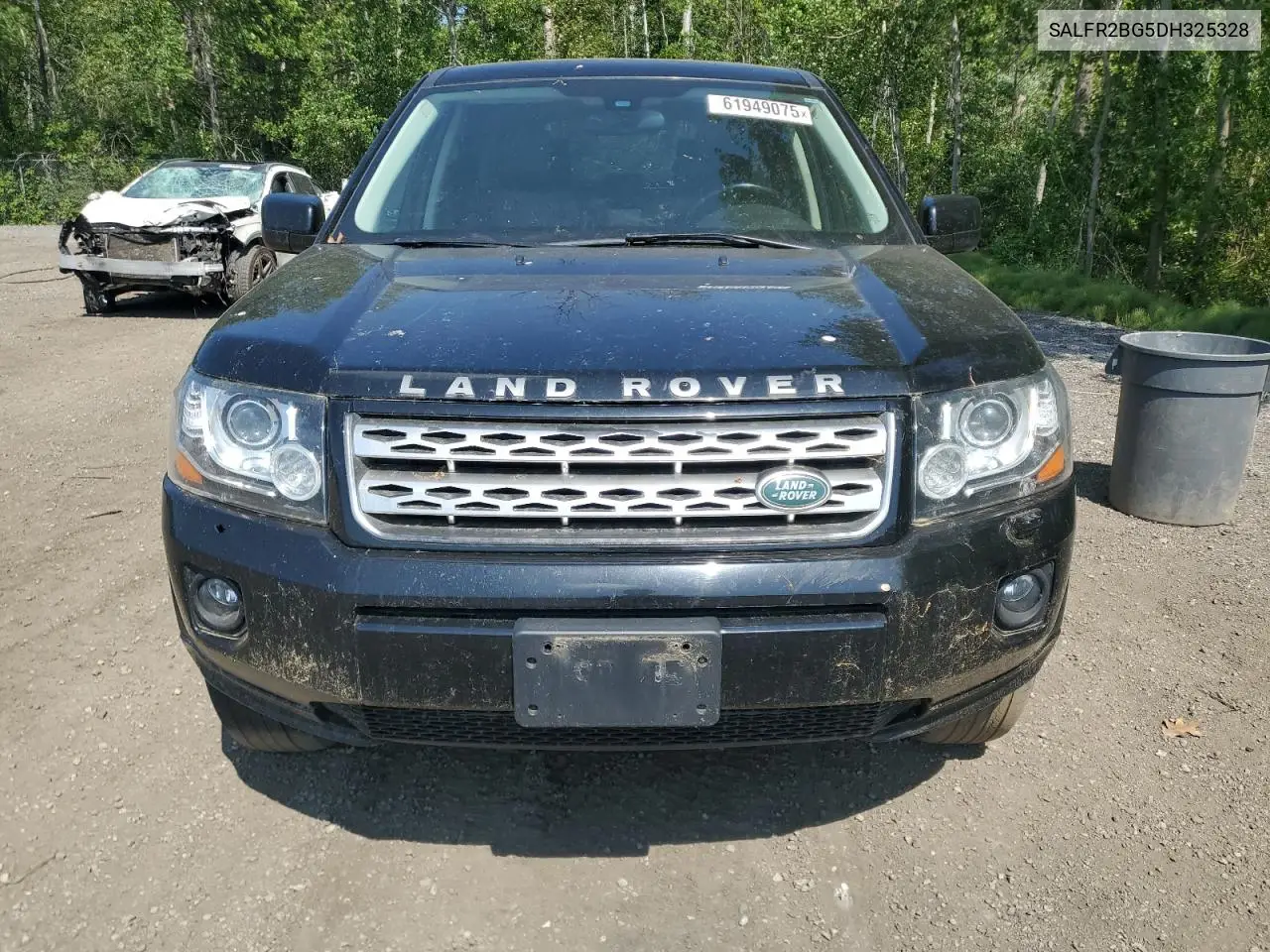 2013 Land Rover Lr2 Hse VIN: SALFR2BG5DH325328 Lot: 61949075