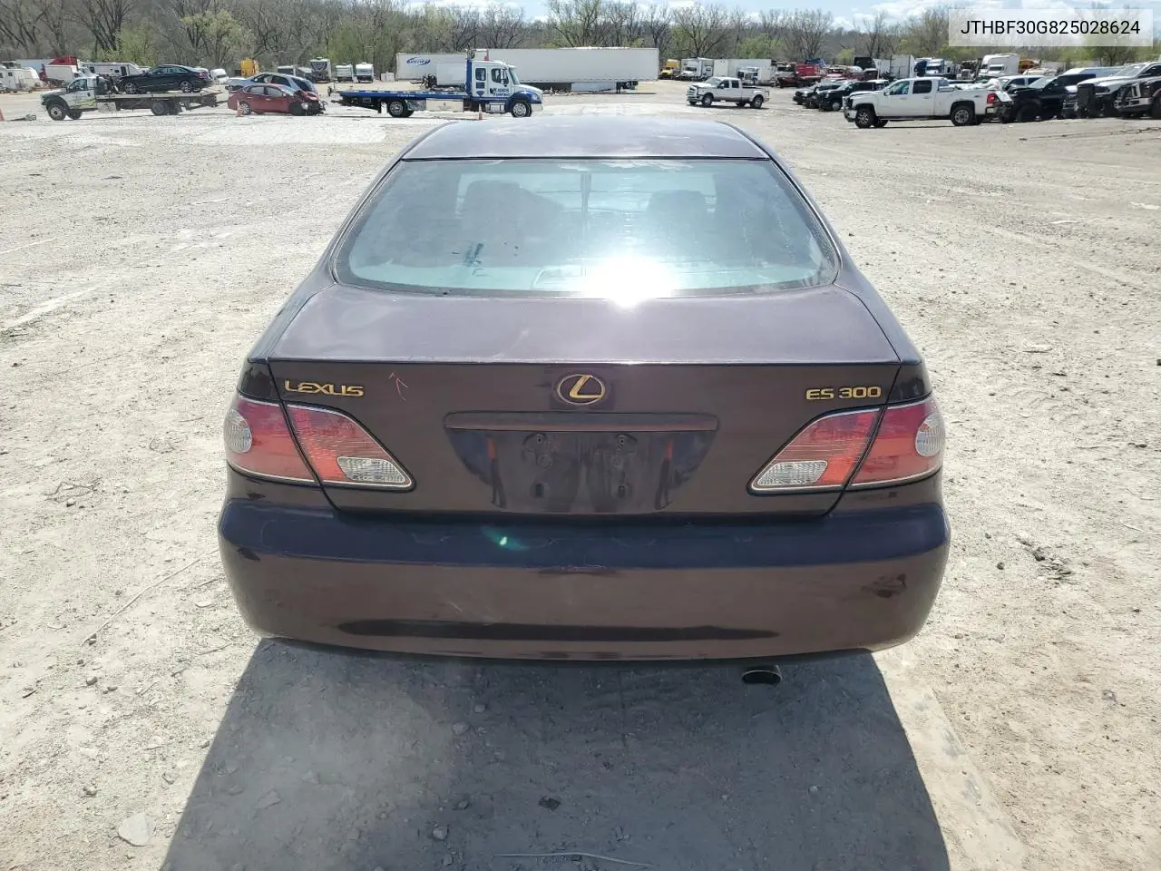 2002 Lexus Es 300 VIN: JTHBF30G825028624 Lot: 52496965