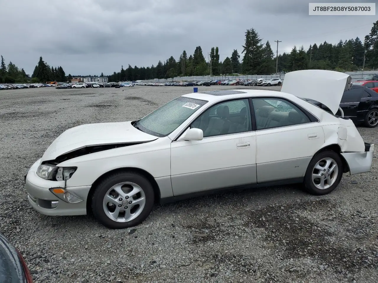 2000 Lexus Es 300 VIN: JT8BF28G8Y5087003 Lot: 62896015