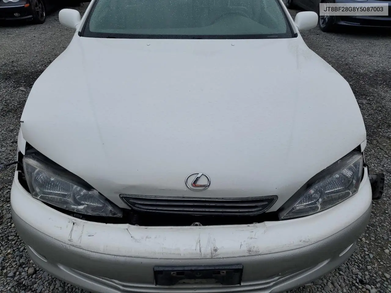 2000 Lexus Es 300 VIN: JT8BF28G8Y5087003 Lot: 62896015
