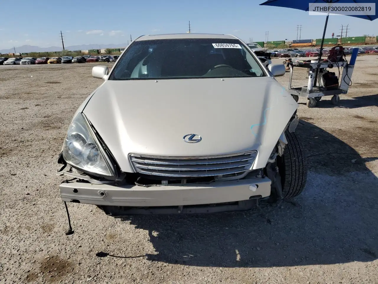 2002 Lexus Es 300 VIN: JTHBF30G020082819 Lot: 60859765