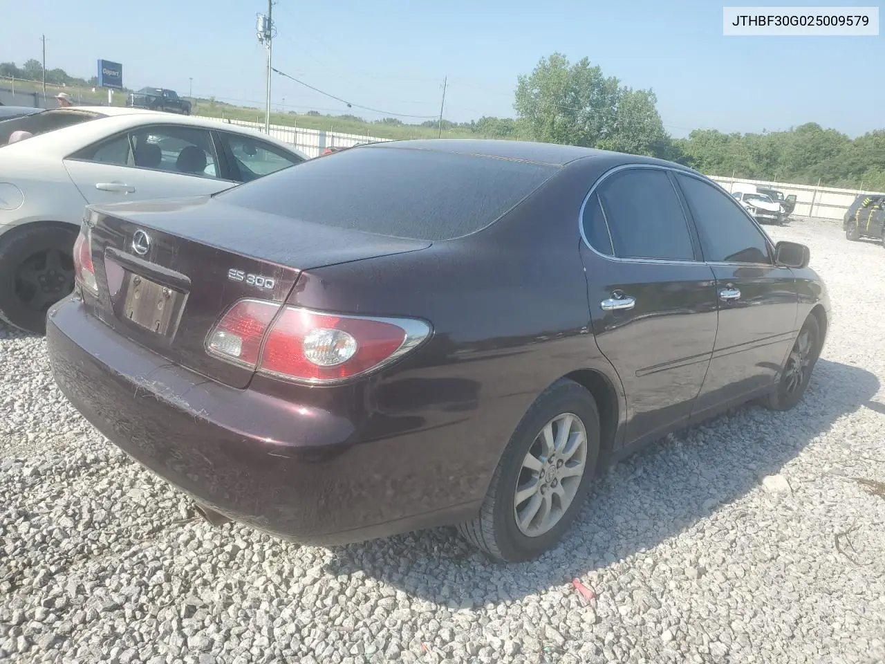 2002 Lexus Es 300 VIN: JTHBF30G025009579 Lot: 62153245