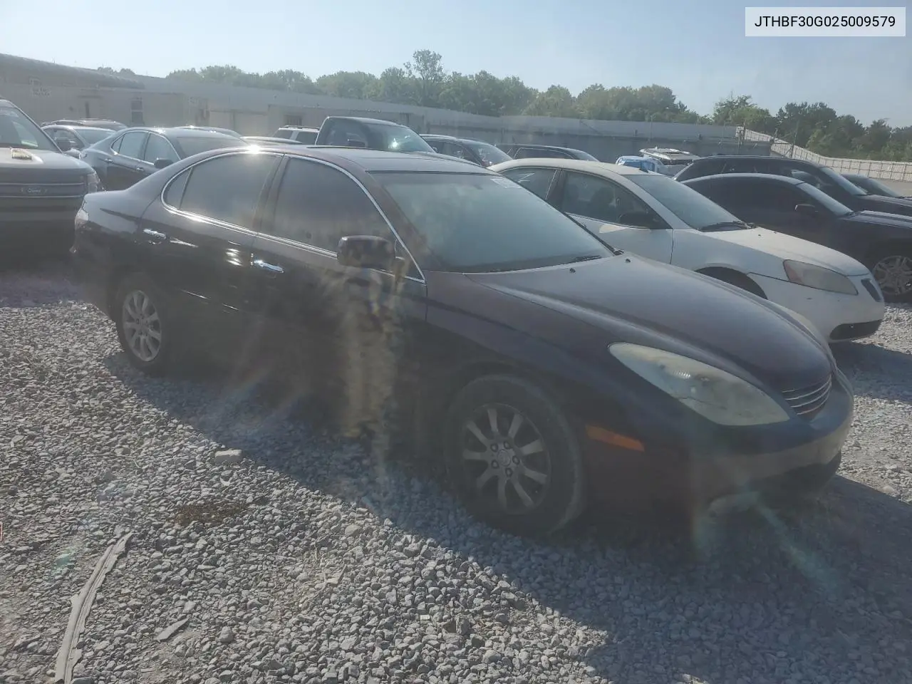 2002 Lexus Es 300 VIN: JTHBF30G025009579 Lot: 62153245