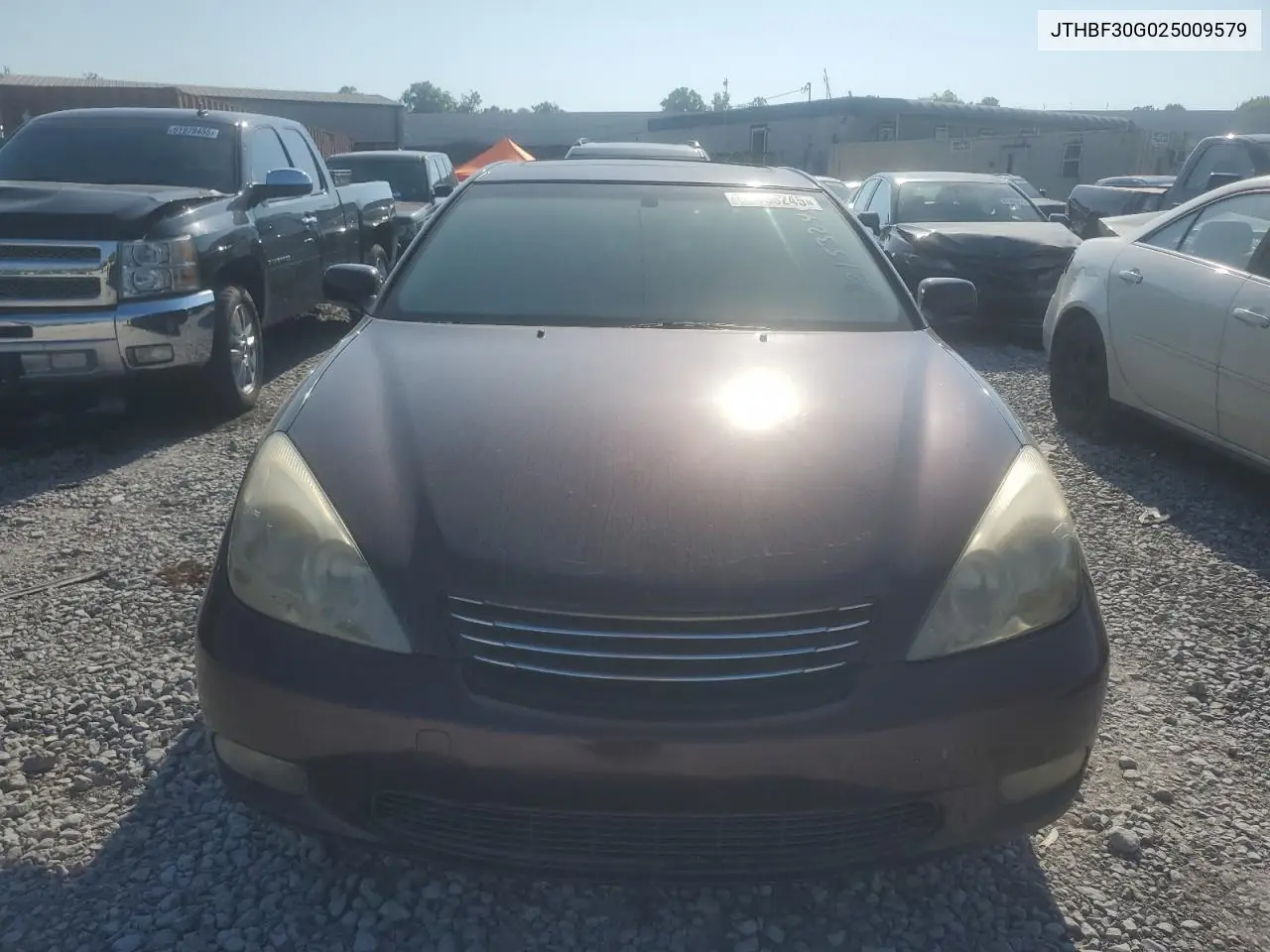 2002 Lexus Es 300 VIN: JTHBF30G025009579 Lot: 62153245