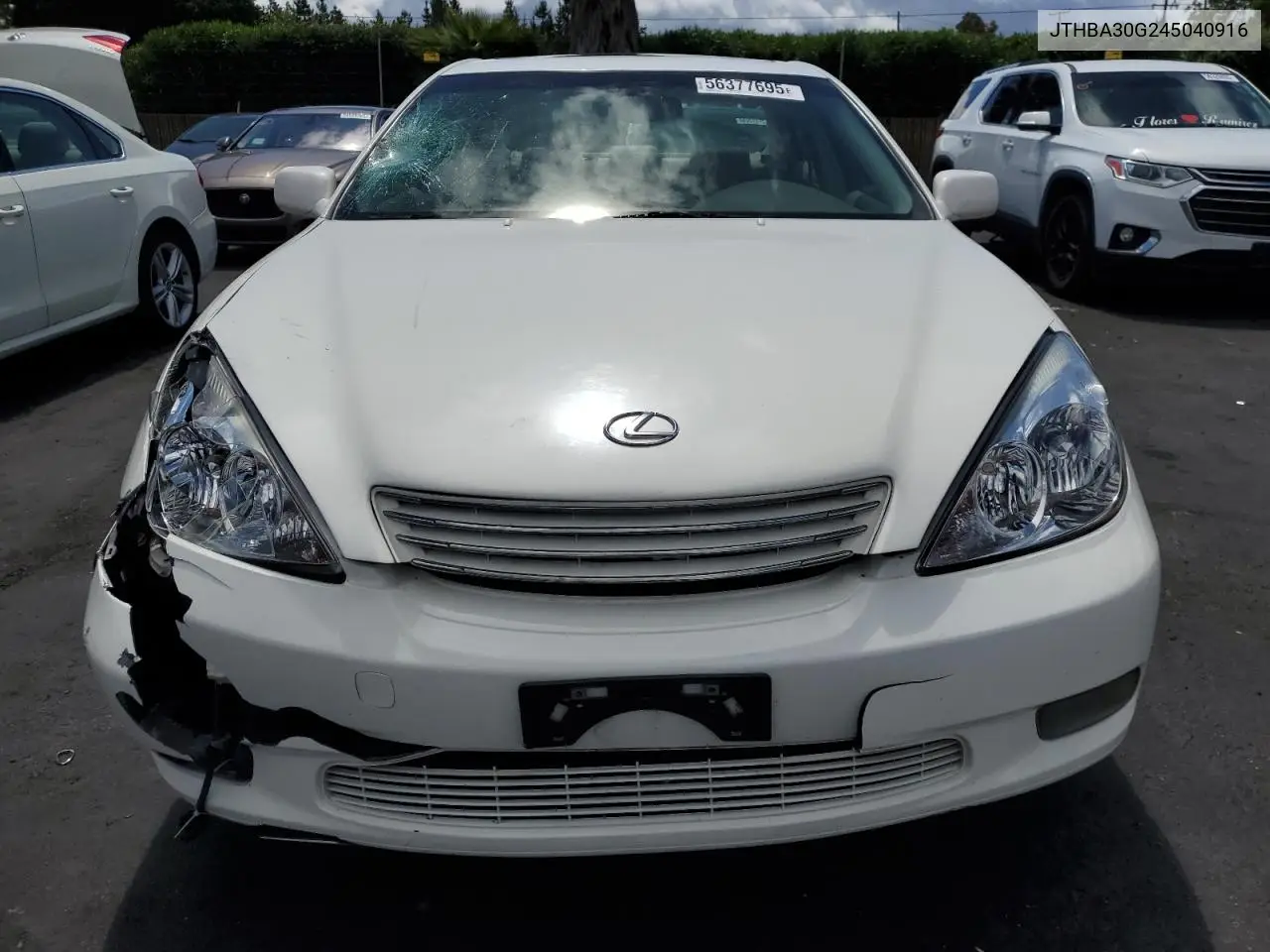 2004 Lexus Es 330 VIN: JTHBA30G245040916 Lot: 56377695