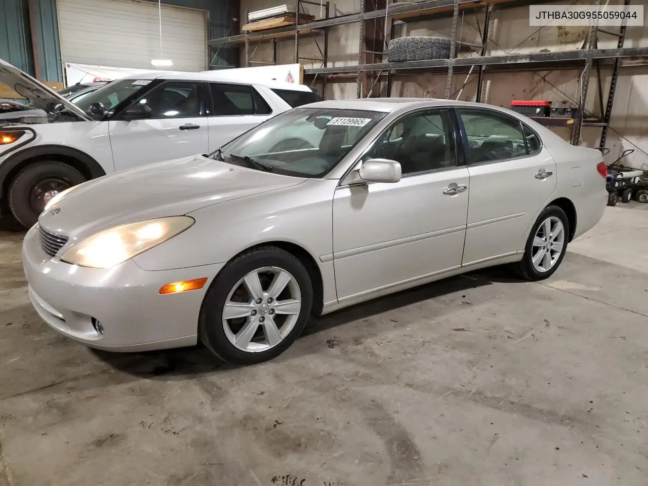 2005 Lexus Es 330 VIN: JTHBA30G955059044 Lot: 51129965