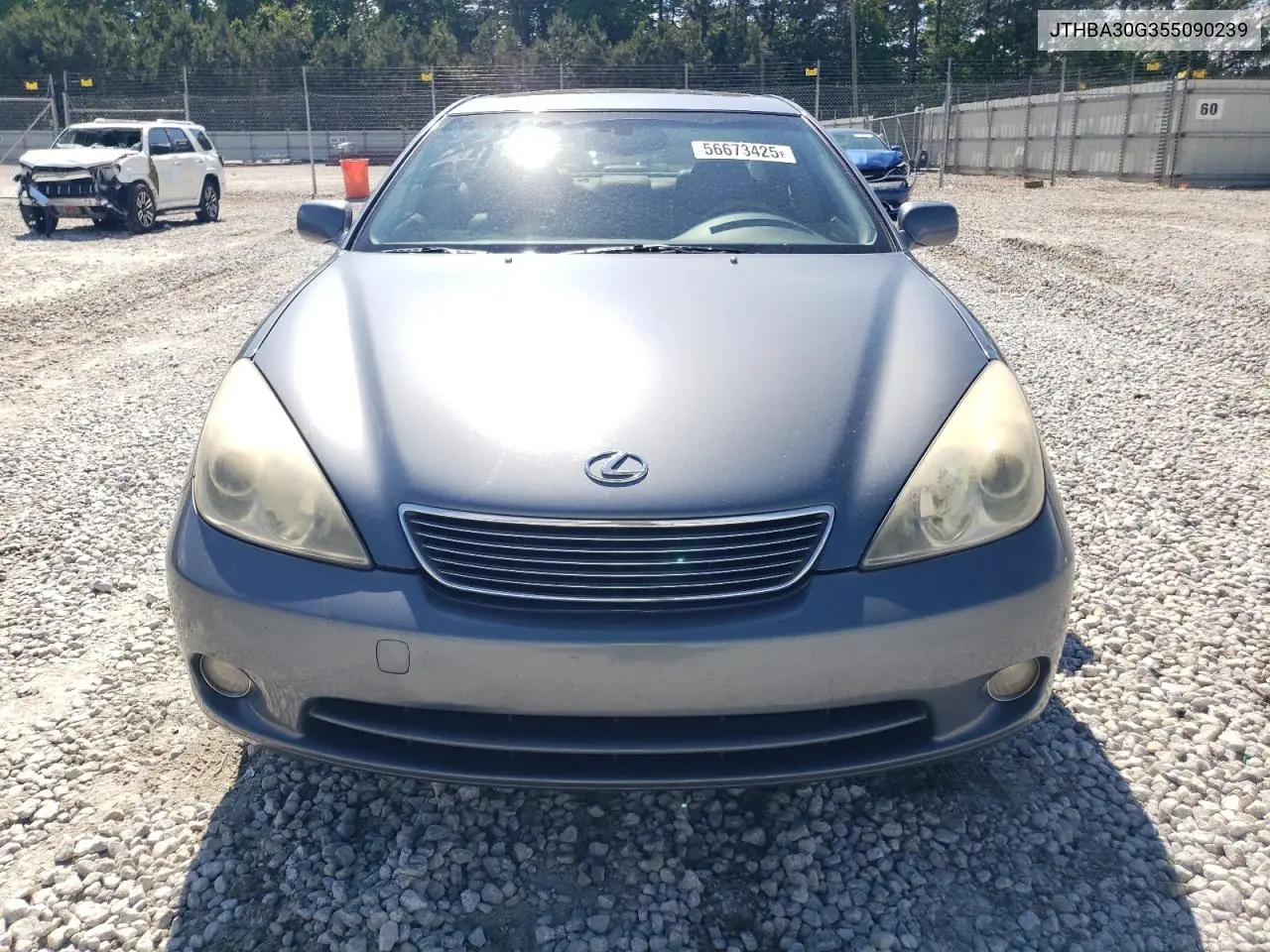 2005 Lexus Es 330 VIN: JTHBA30G355090239 Lot: 56673425